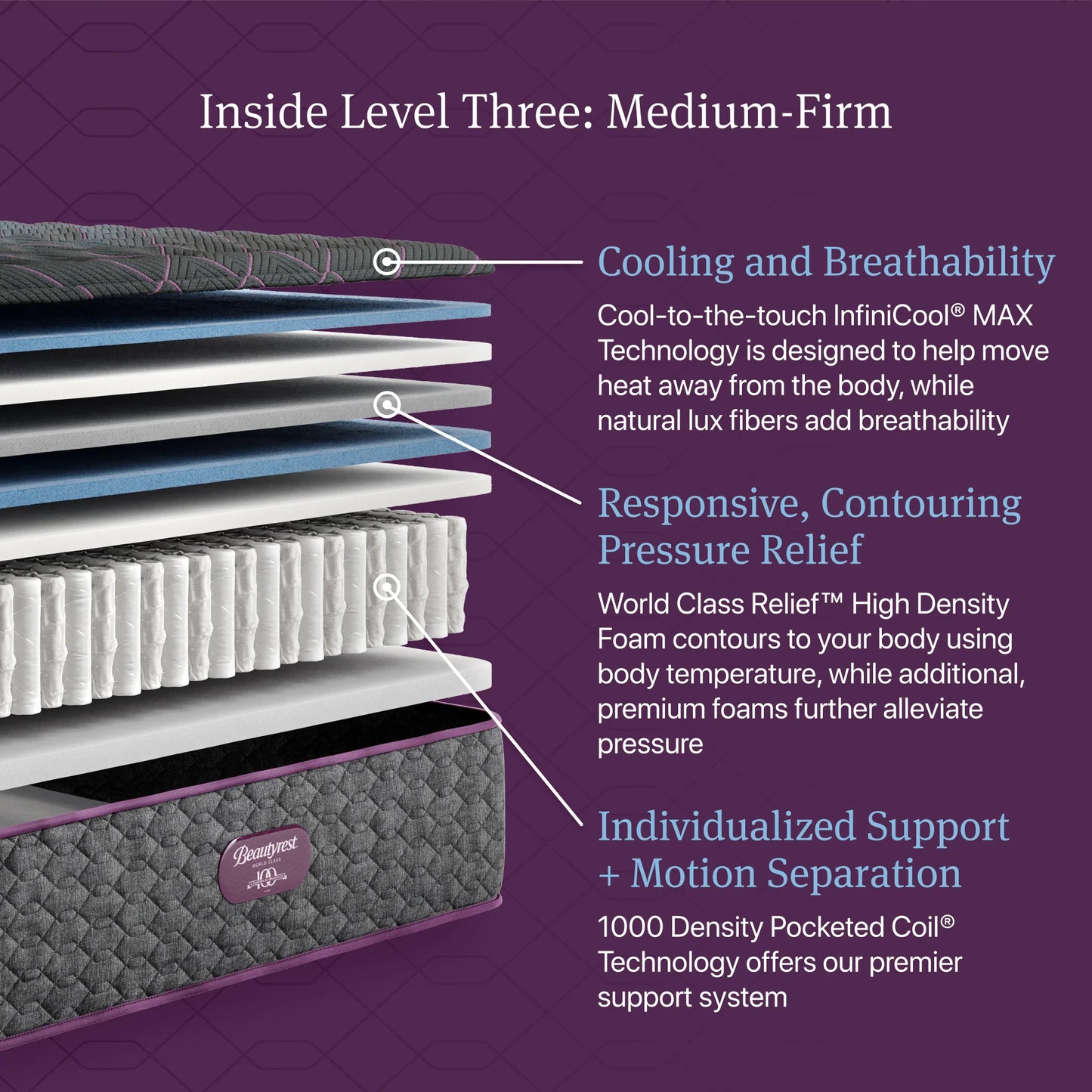 Simmons Beautyrest World Class Level 3 Extra Firm