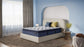 Mattress 1st Ellawood Plush Pillow Top